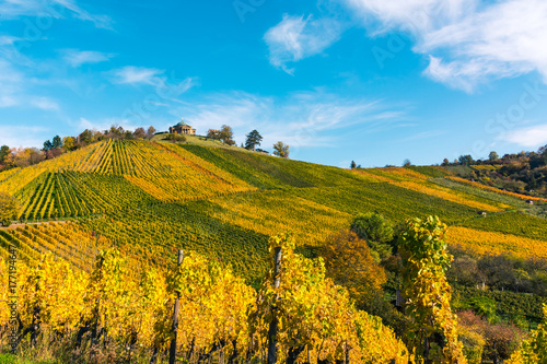 Stuttgart Germany Grabkapelle Vineyards Autumn Fall Season Beautiful Landscape Farming Agriculture Wine