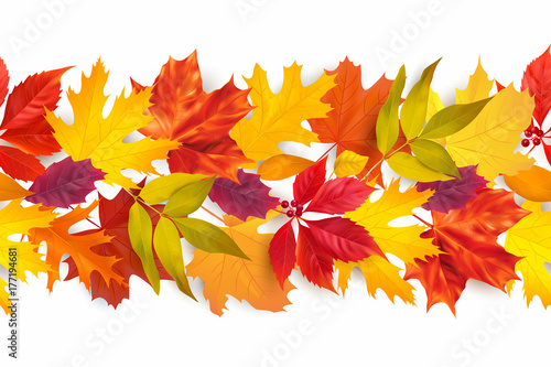 Seamless border with colored autumn leaves isolated on white. Vector illustration.