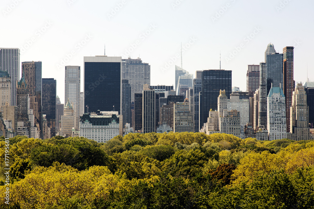 A view of NYC skyline from central park A view of NYC skyline from central park
