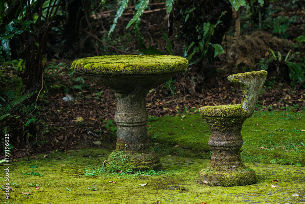 The table and chair are covered with natural moss. Natural moss on furniture. The table and chair are covered with natural moss. Natural moss on furniture.