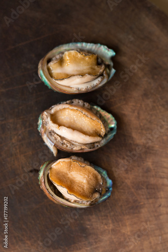 sea food abalone