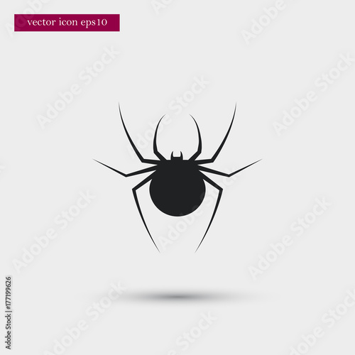 Spider icon simple vector sign