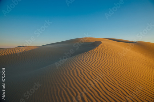 Natural desert landscape  sand dunes. Senek desert in the west Kazakhstan 