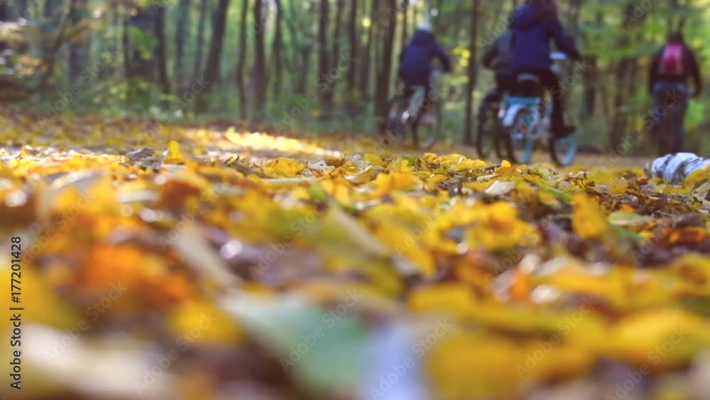 Blurred view of autumn park park with group of unrecognizable people riding bicycle. Slow motion. 3840X2160 4K UHD video footage Blurred view of autumn park park with group of unrecognizable people riding bicycle. Slow motion. 3840X2160 4K UHD video footage