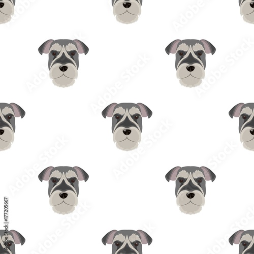 A breed of a dog, a risen schnauzer.Risen Schnauzer Muzzle single icon in cartoon style vector symbol stock illustration web.