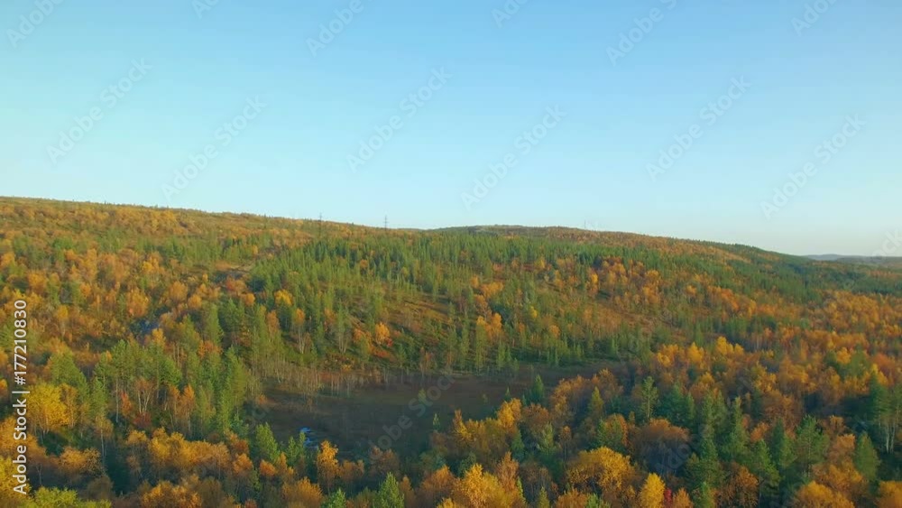 Aerial View.The swamp in the autumn tundra Aerial View.The swamp in the autumn tundra