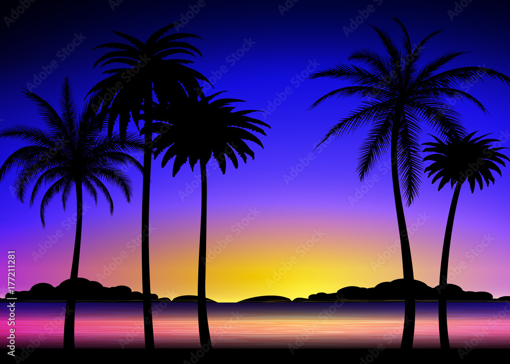 Silhouette of palm trees on the colorful tropical sunset, vector illustration