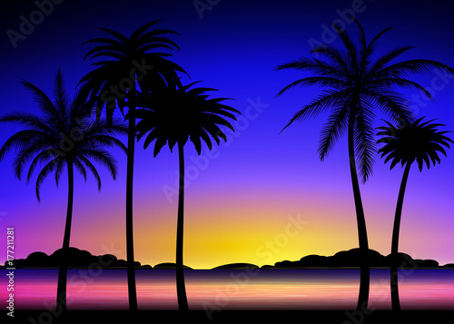 Silhouette of palm trees on the colorful tropical sunset, vector illustration