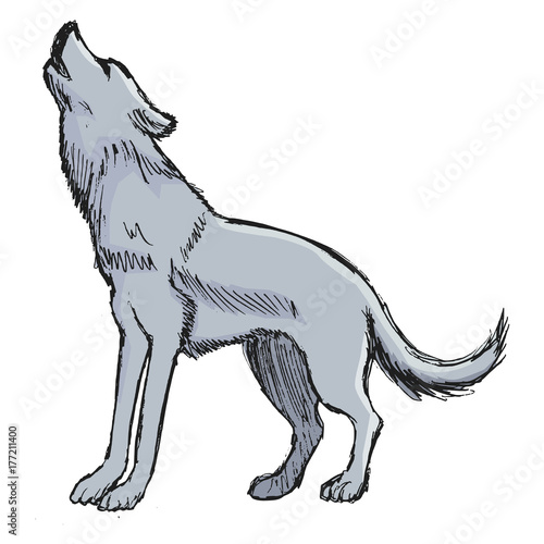 wolf howling to Moon