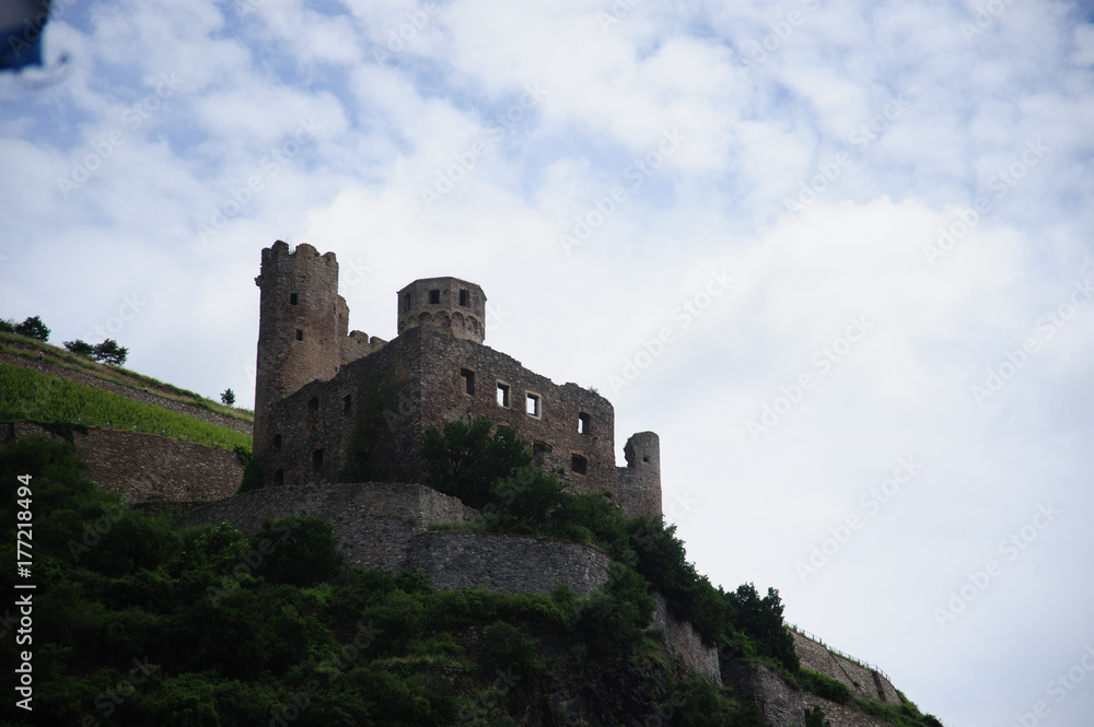 Castle in the Rhine Valley