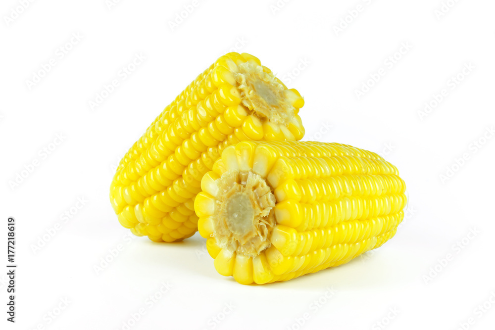 yellow sweet corn isolated on white background yellow sweet corn isolated on white background