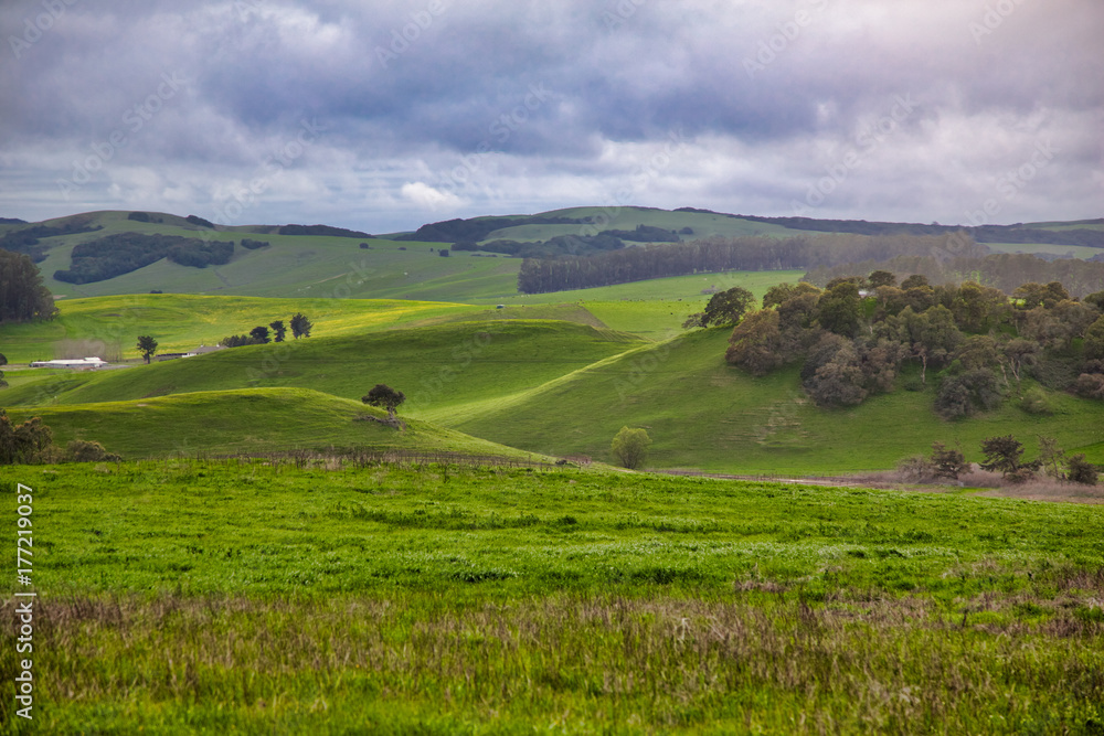 Green rolling hills in Northern California