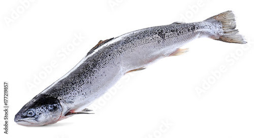 Fresh raw salmon, isolated on white