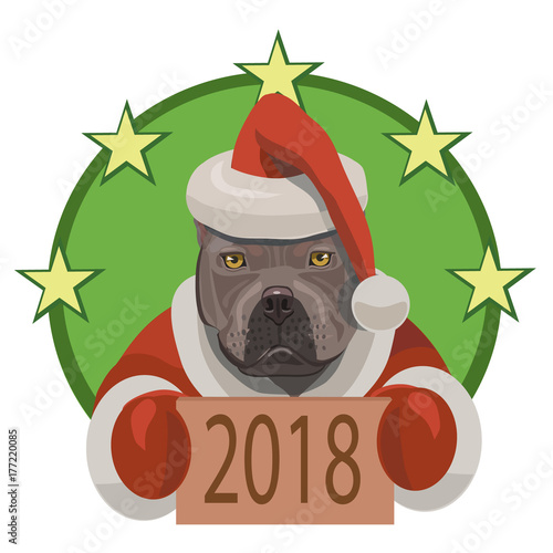 Dog fighting Pitbull new year 2018/ Dog fight pit bull shows that came on a horoscope year of the dog 2018, and he congratulates everybody with new year! 
