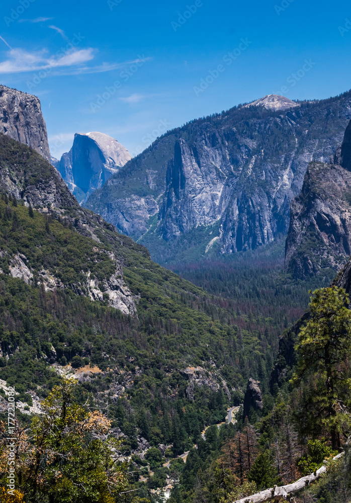 Half Dome Rock and Yosemite Valley