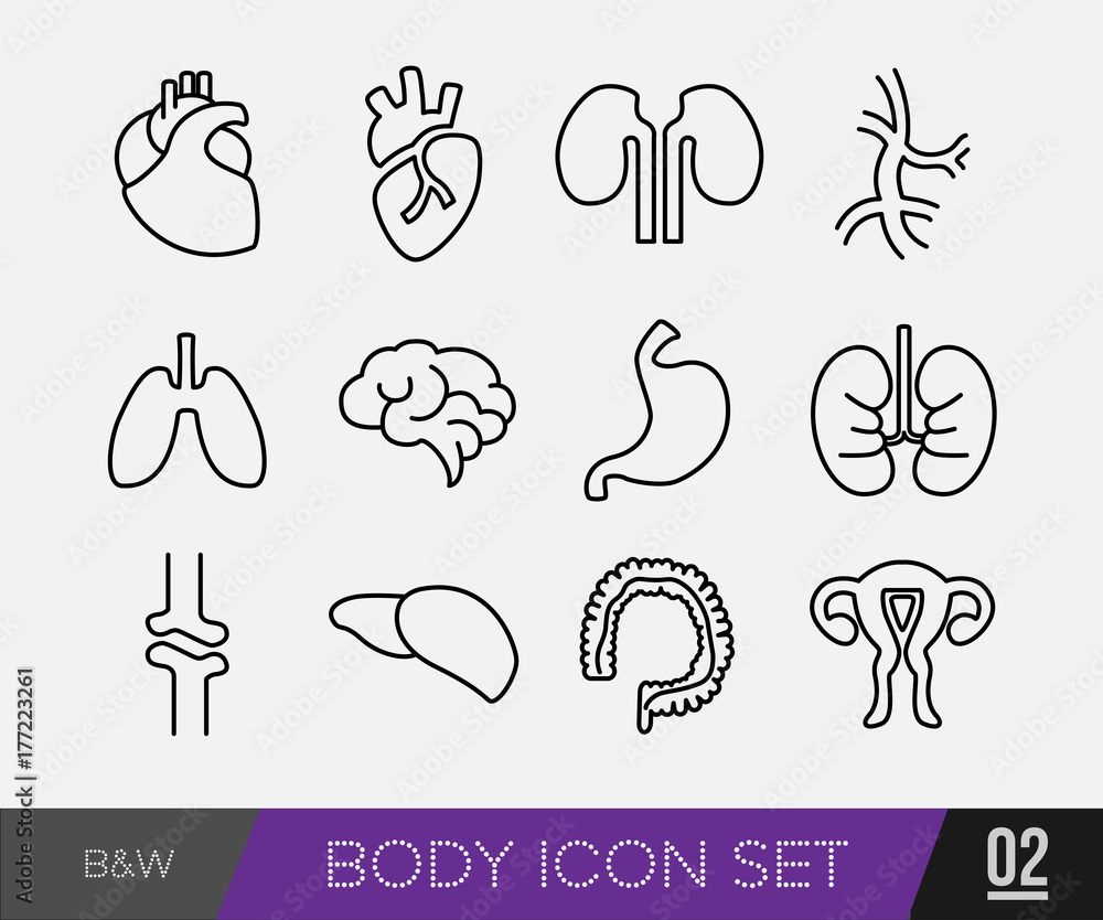 Medical Body Icon, health and healthcare icons and data elements, infographic heart, brain , kidney and other human organs symbols Medical Body Icon, health and healthcare icons and data elements, infographic heart, brain , kidney and other human organs symbols