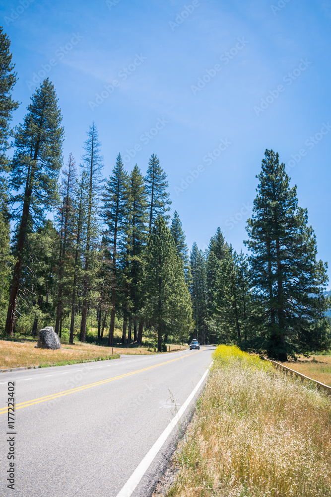 Summer car tour of the US natural parks. Entry to Yosemite National Park