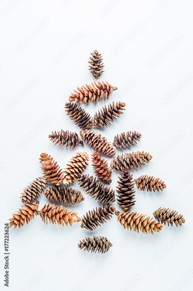 Fir cones on a white background. Christmas pattern
