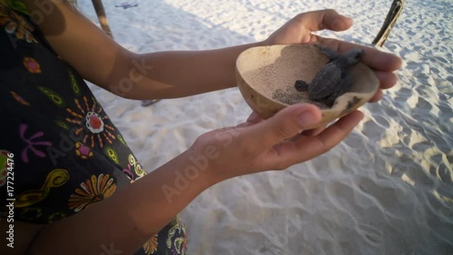 young women take wooden bowl with newborn turtle in our hand,close up hand and turtle in wooden bowl, turtle  sanctuary hatchery located on the beach photo