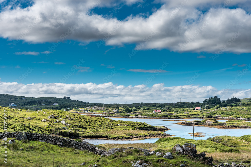Connemara landscape: sea and grasslands