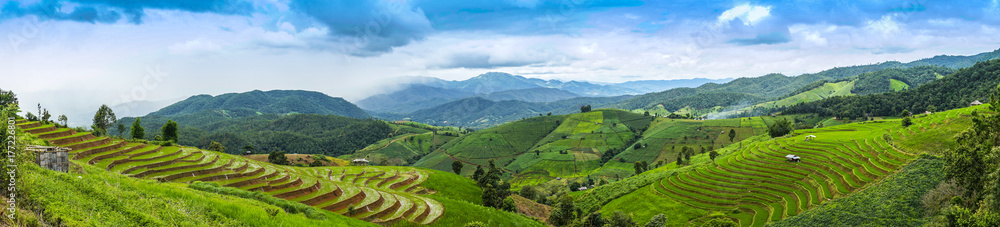 Obraz premium Rice Terraces