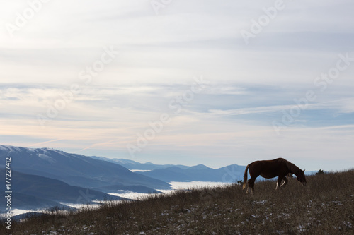 A backlit horse  eating grass  on top of a mountain  with some distant and misty mountains on the background