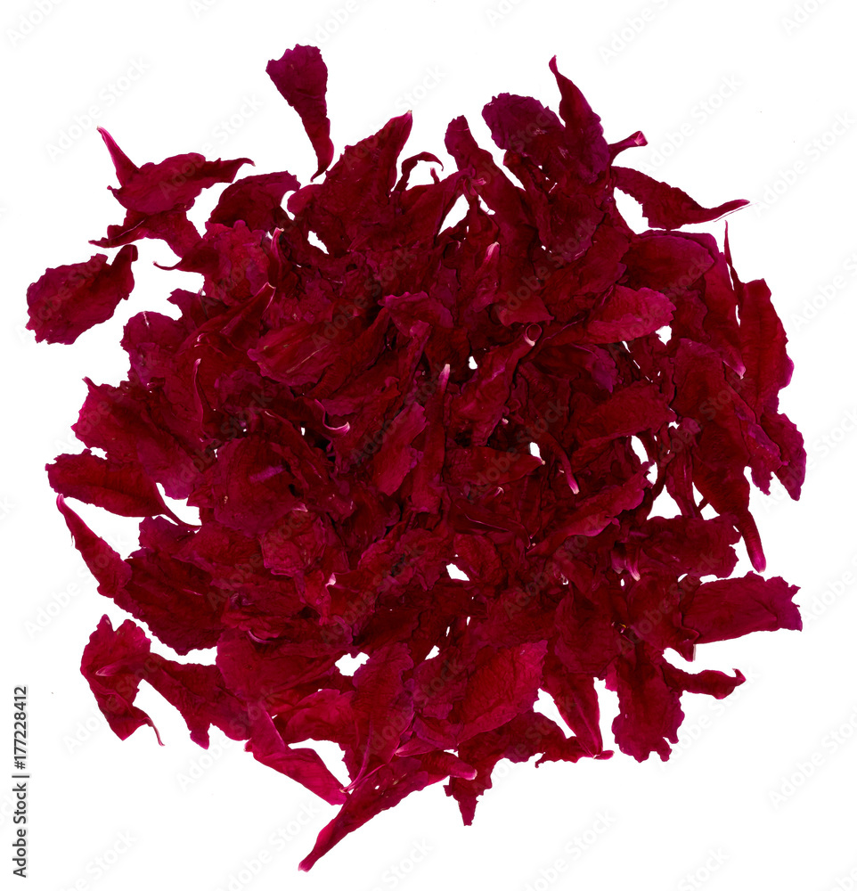 Dried peony petals Stock Photo Adobe Stock