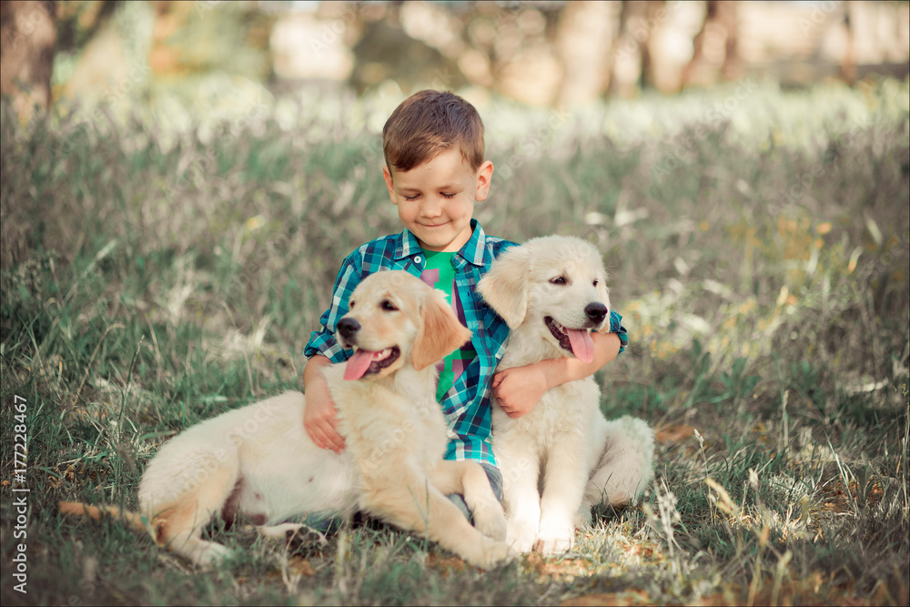 Cute handsome boy teen with blue eyes playing outdoor with amazing white pink labrador retriever puppy enjoying summer sunny day vacation weekend with full happyness.Happy smiling kid with best friend