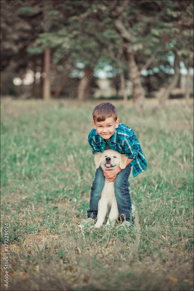 Fototapeta premium Cute handsome boy teen with blue eyes playing outdoor with amazing white pink labrador retriever puppy enjoying summer sunny day vacation weekend with full happyness.Happy smiling kid with best friend