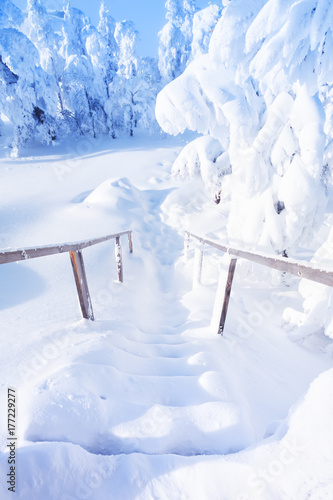Snow-covered stairs and trees after snowfall.