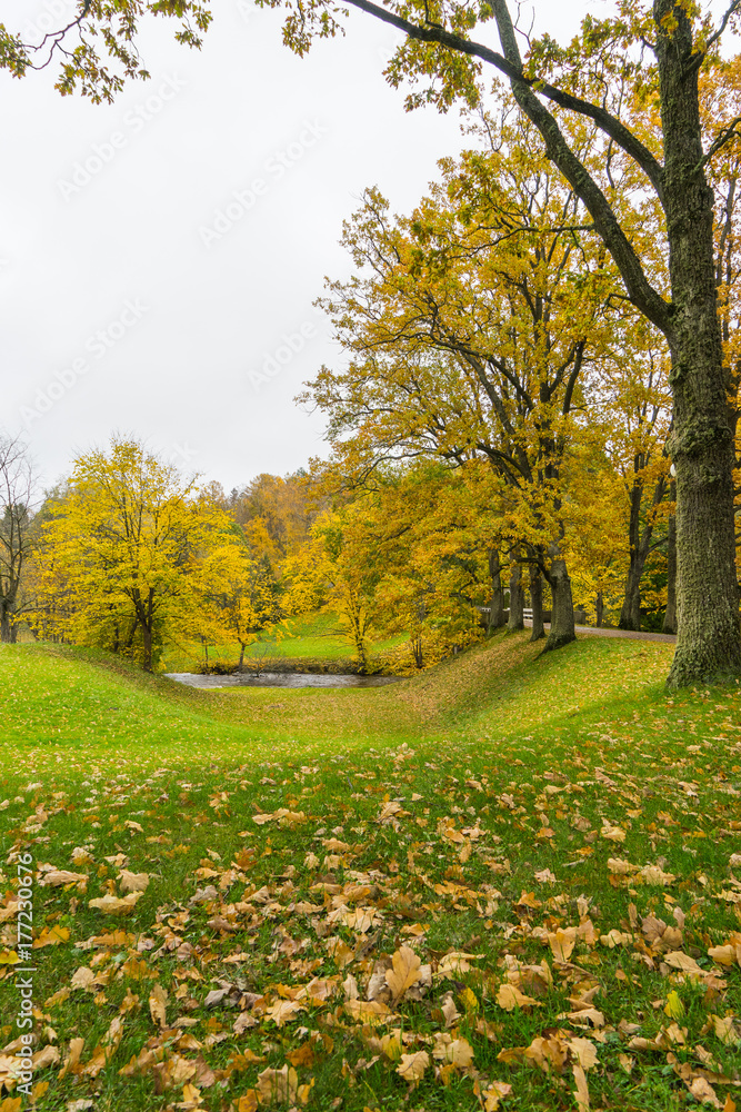 Autumn view in the park Autumn view in the park