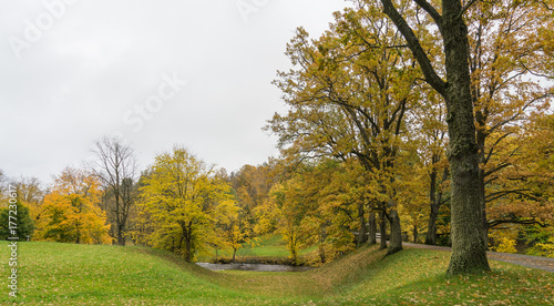 Fototapeta Naklejka Na Ścianę i Meble -  Autumn view in the park