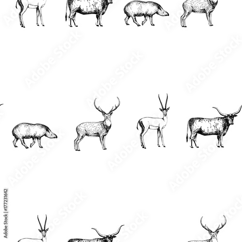 Seamless pattern of hand drawn sketch style animals. Vector illustration isolated on white background.