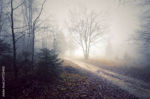 Morning creepy countryside landscape with mystic road. Color filter effect used.