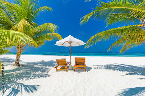 Fototapeta Naklejka Na Ścianę i Meble -  Perfect beach view. Summer holiday and vacation design. Inspirational tropical beach, palm trees and white sand. Tranquil scenery, relaxing beach, tropical landscape design. Moody landscape