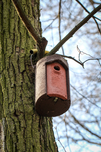 Nistkasten, Brutkasten, Vögel, Natur photo