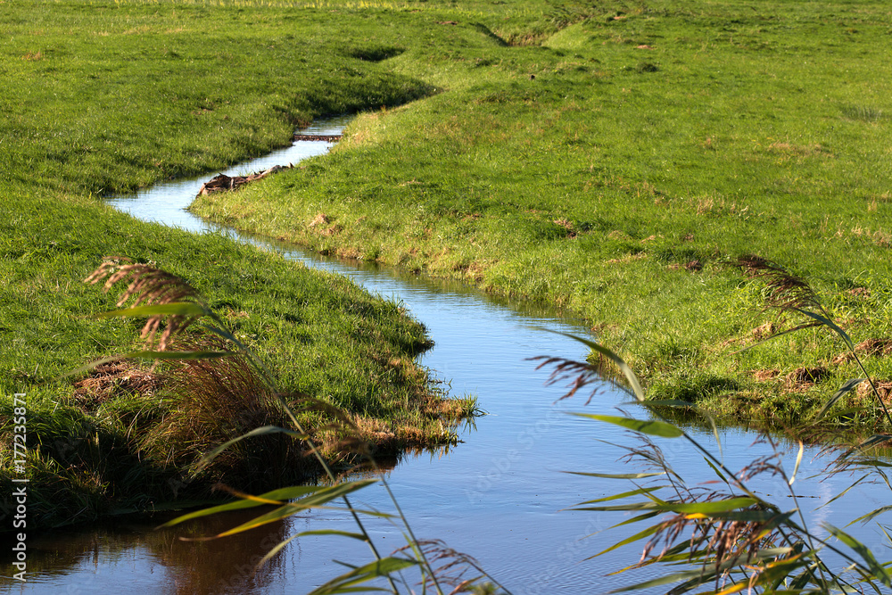 Bachlauf im Naturschutzgebiet