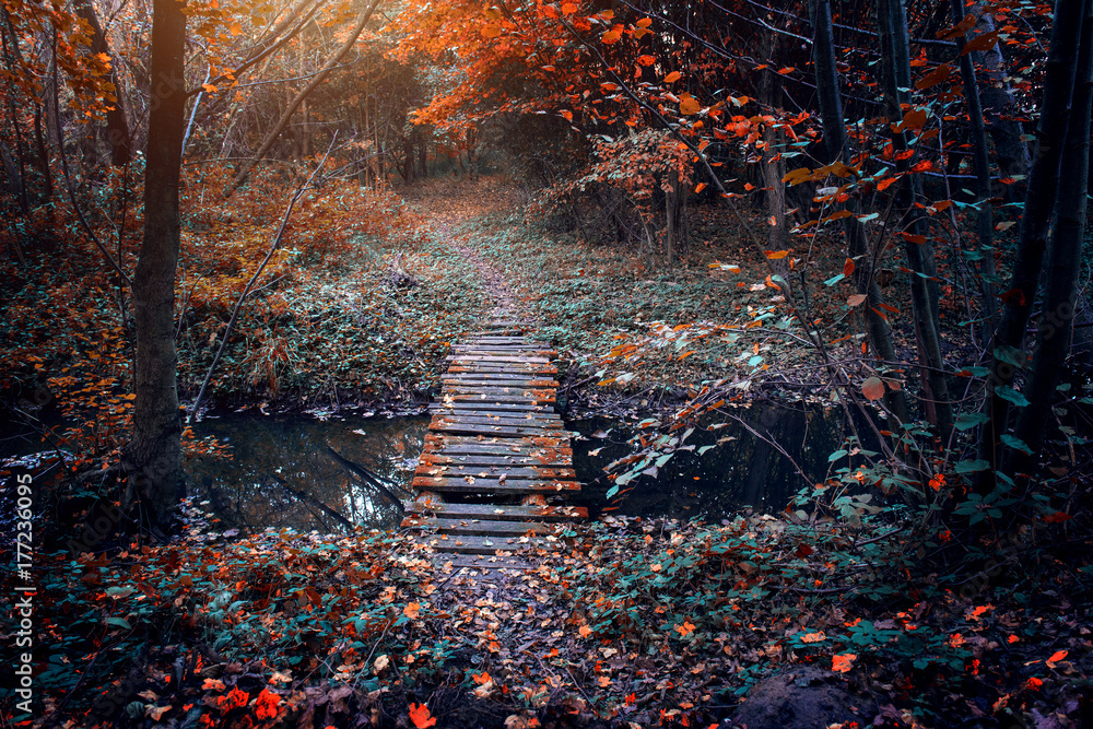 Fototapeta Stary most w jesień krajobrazie