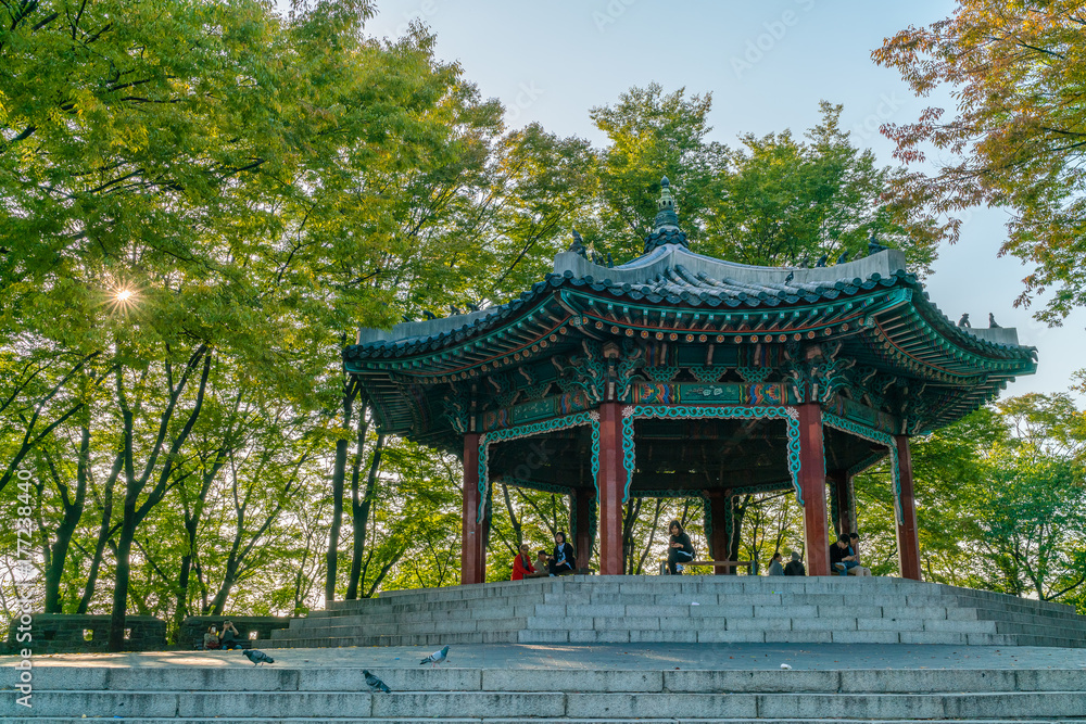 Fototapeta premium Seoul Tower in winter at Namsan mountain, Seoul, South Korea 