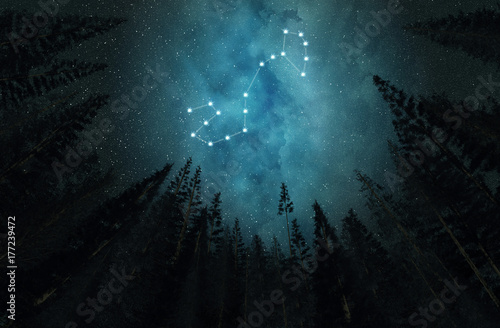 Constellation Scorpio. Night sky. Stars. Horoscope. © Voloshyn Roman