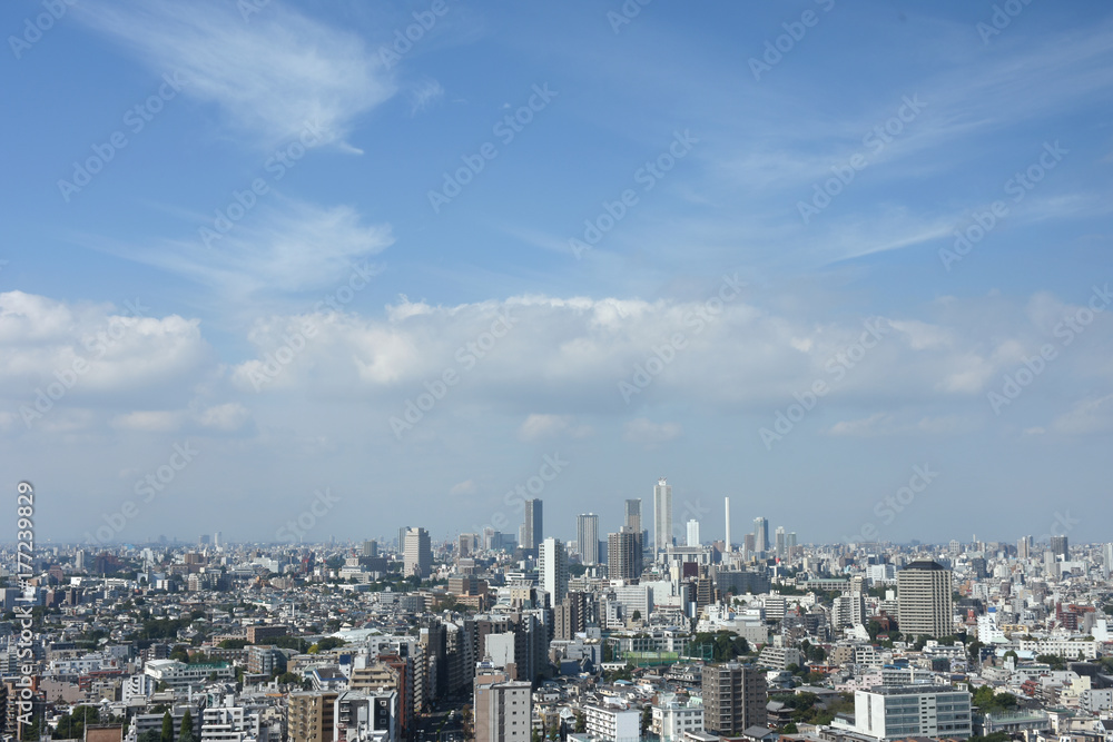 Fototapeta premium 青空と雲・ 日本の東京都市景観(豊島区方面などを望む)
