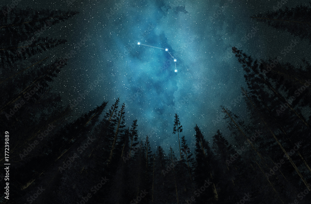 Naklejka premium Constellation Aries. Night sky. Stars. Horoscope.