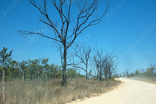 Dusty rural road with dead trees in Queensland
