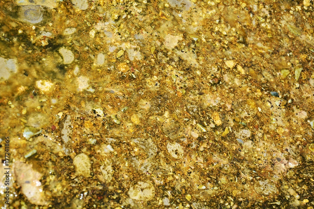 Minerals under water, algae and yellow stones, natural texture Minerals under water, algae and yellow stones, natural texture