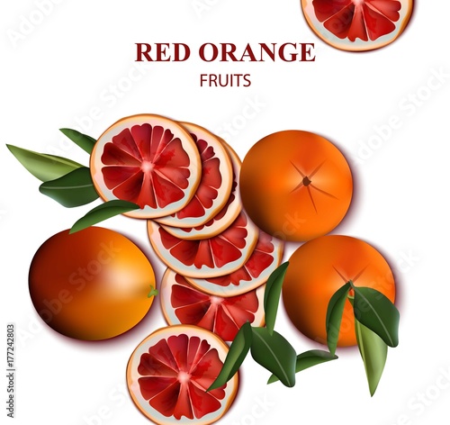 Red orange fruits isolated on white Vector illustrations