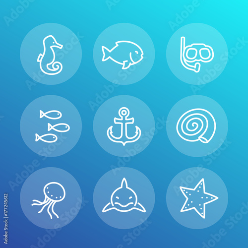 Sea line icons set, shark, fish, shell, seahorse, medusa, starfish, anchor, diving mask
