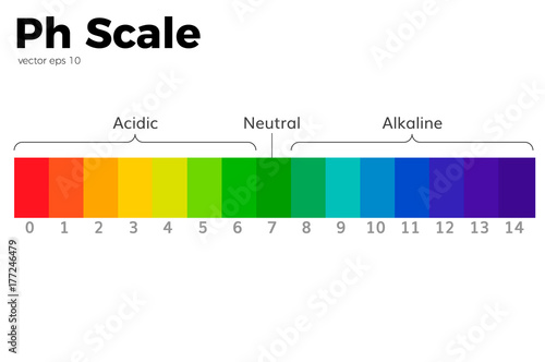 ph scale chart vector