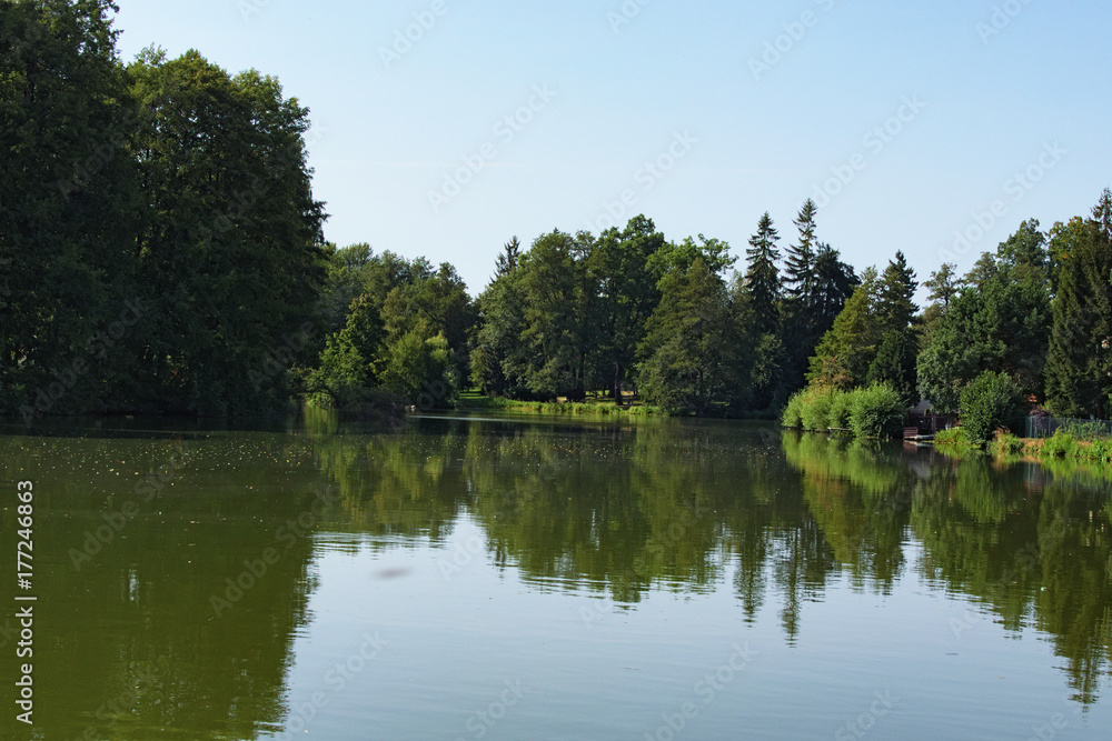 Lake in Telc in Czech Republic with reflected trees, Czech Republic