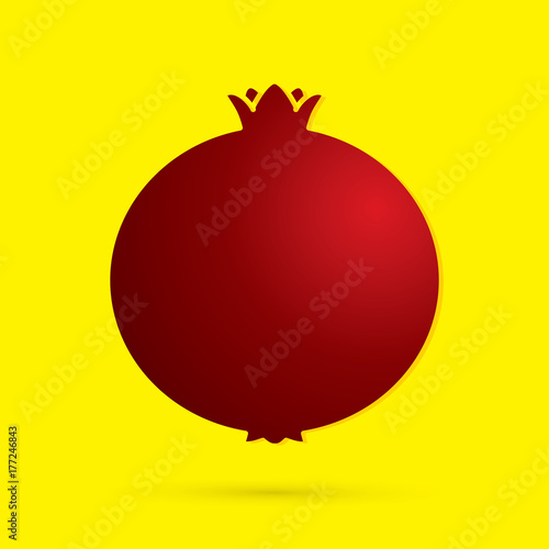 Pomegranate fruit graphic vector