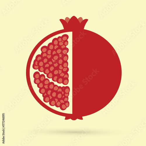 Pomegranate fruit graphic vector